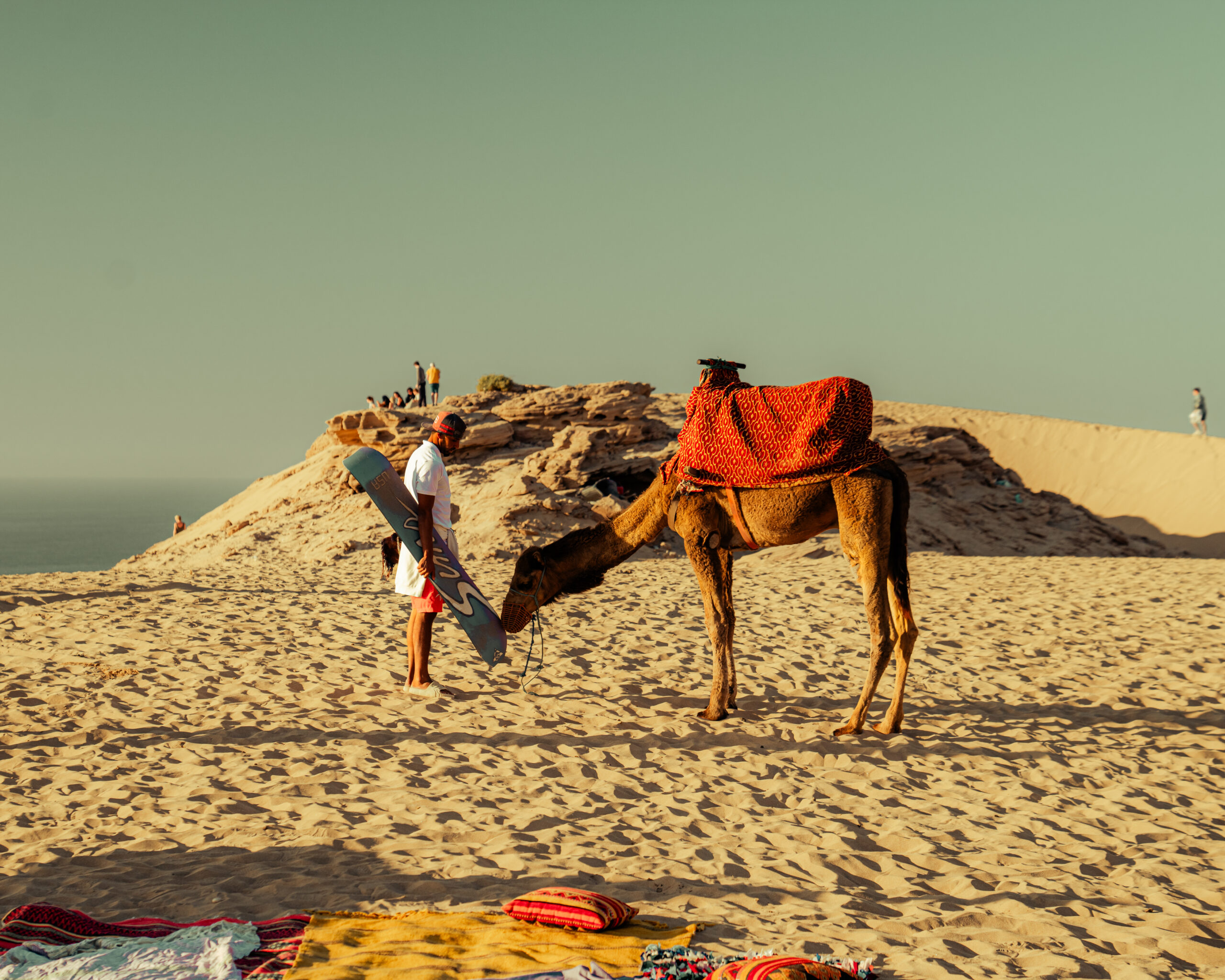 Culture & Discovery